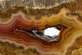 Polished Banded Fortification Agate Section - Turkey #336243-1